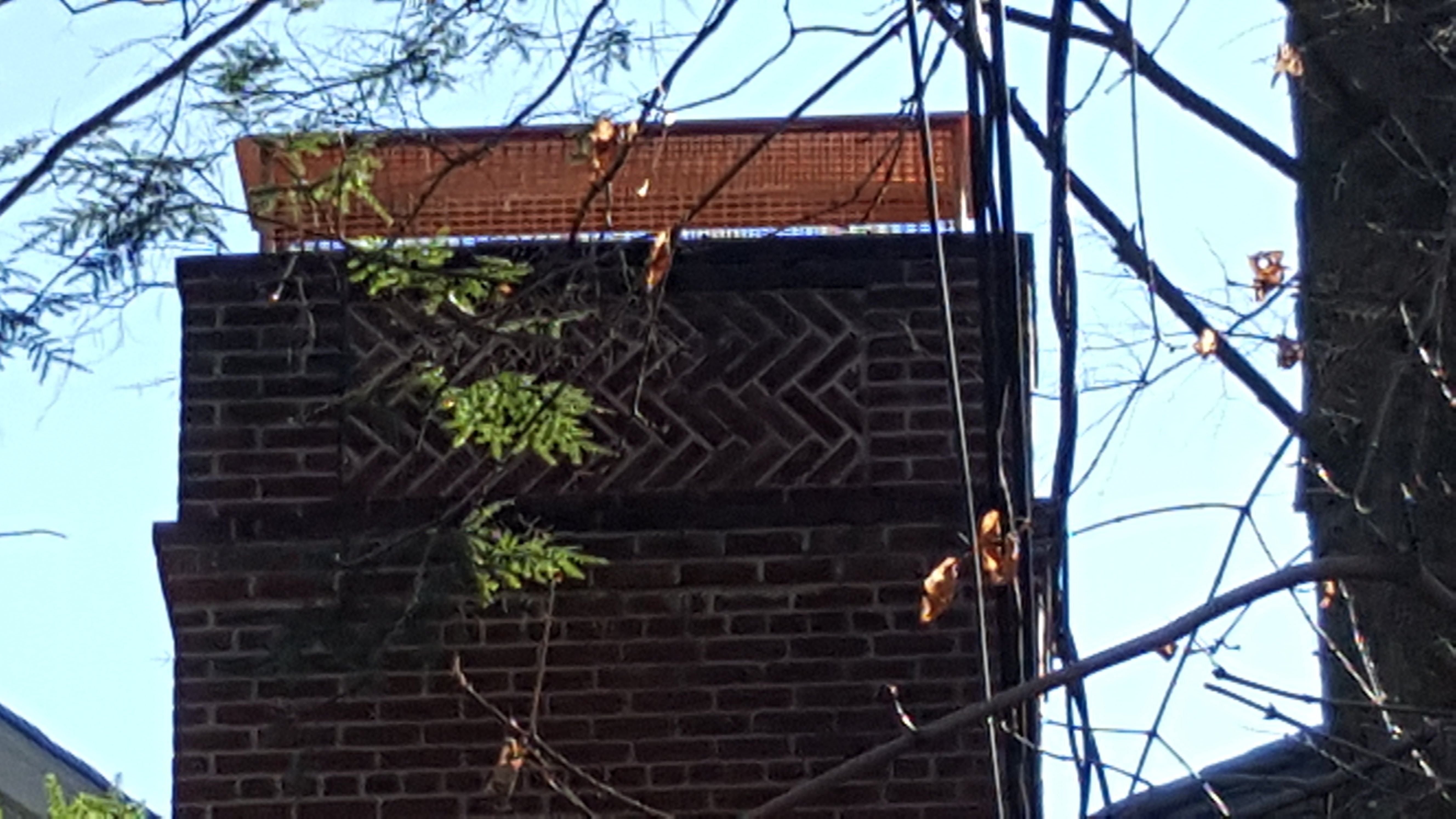 Animal-proof chimney cap protecting home in Oceanside, New York